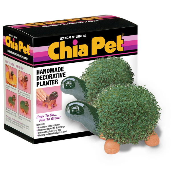 Chia Pet Planter-Turtle 