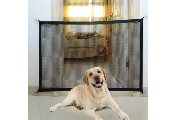 pet needs magic gate