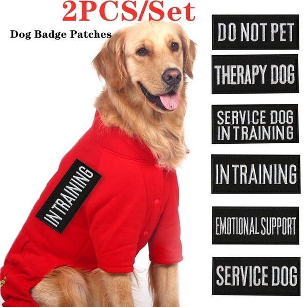 dog security vest