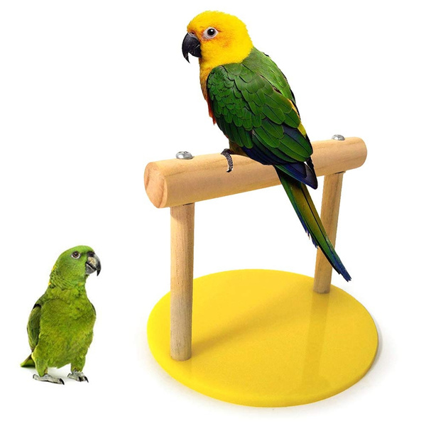 parrot stands play gyms