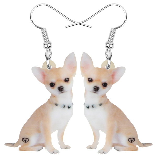 Chihuahua top dog accessories