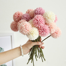 decoration, hydrangeaflowerball, Flowers, dandelionflower