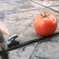 thumbnail - 2
