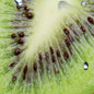 thumbnail - 3