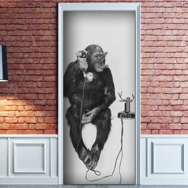  Door Monkey