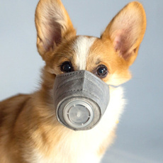 antifogmask, Gifts, petsupply, Home & Living
