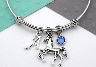 Charm Bracelet, horse, pony, Jewelry