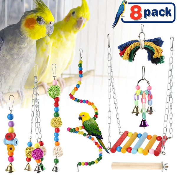 parrot toys and perches