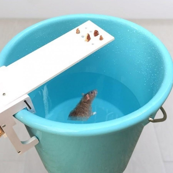 DIY Home Garden Pest Controller Rat Trap Quick Kill Seesaw Mouse ...