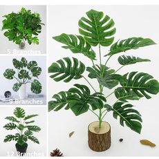 tropicalleave, Turtle, Plants, leaf