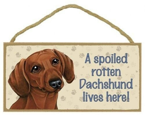 A Spoiled Rotten Pomeranian Lives Here 10" x 5" Dog Sign 
