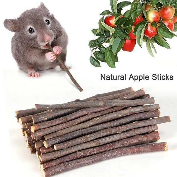 hamster wood chews