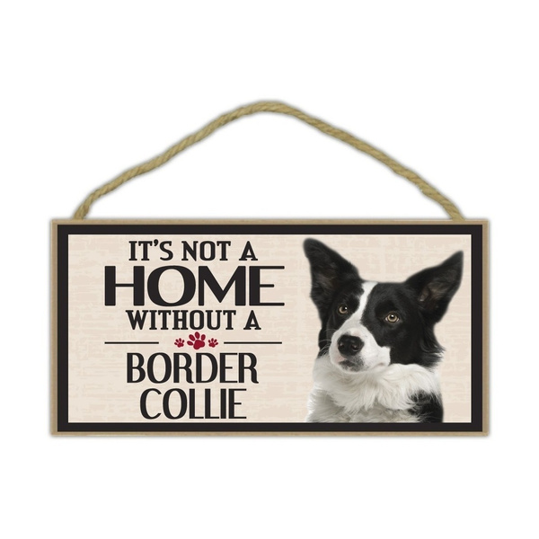 border collie accessories