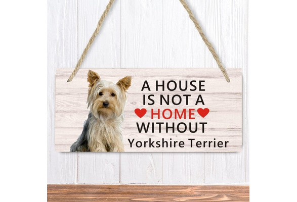 A house is not store a home without a yorkie