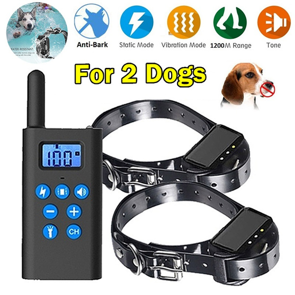 electric dog control