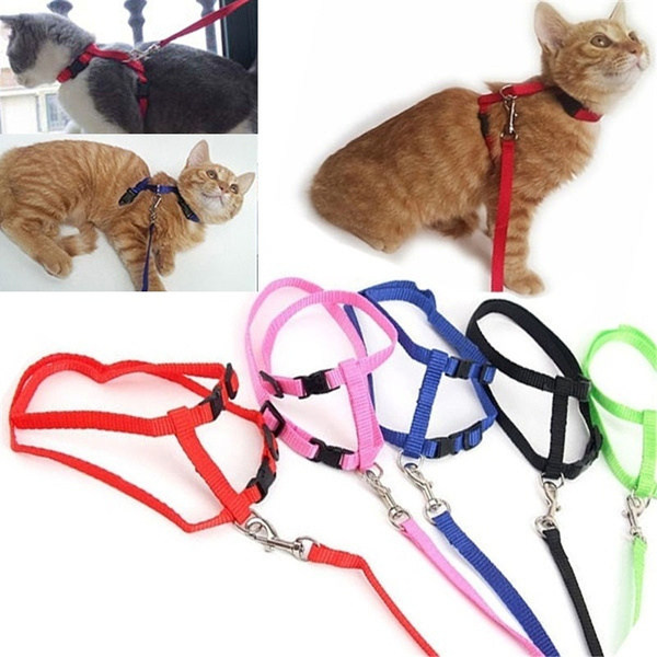 Cat Puppy Adjustable Harness Collar Leash Lead Safety Walking Rope Pet 