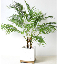 palmtreedecoration, Home & Kitchen, Decor, artificialplant