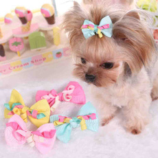 butterfly, cute, Pets, Dogs