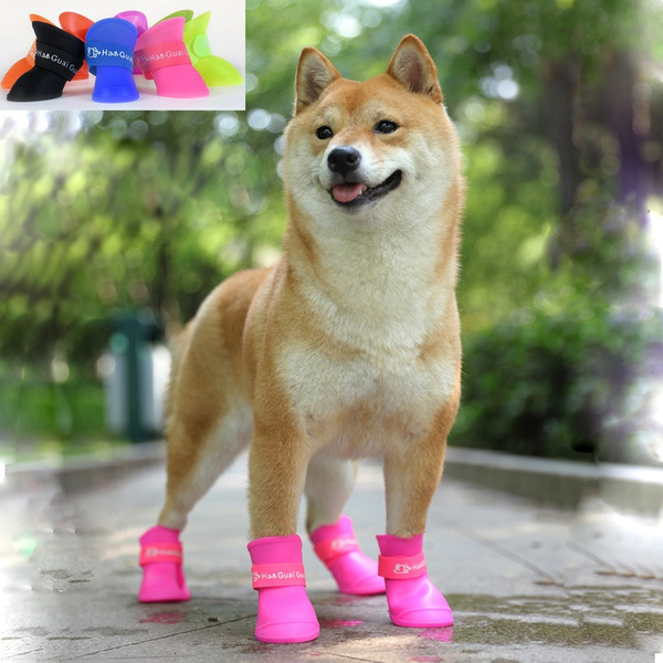 Dog skid shop boots