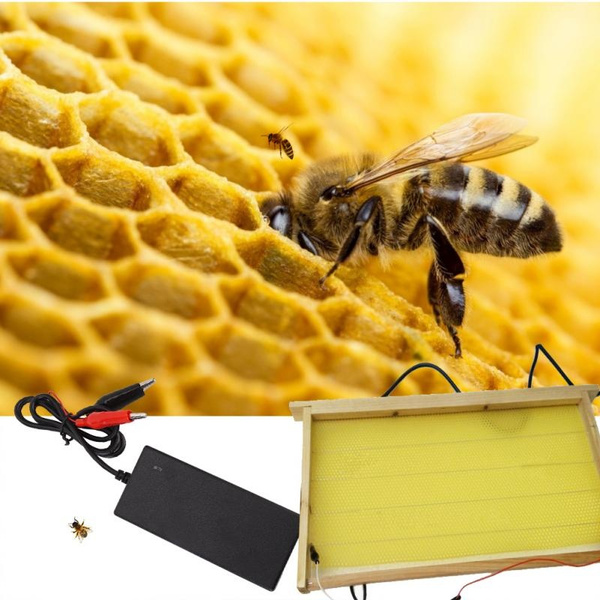 Beekeeping Electric Embedder Heating Device Beehive Installer Embedder Equipment