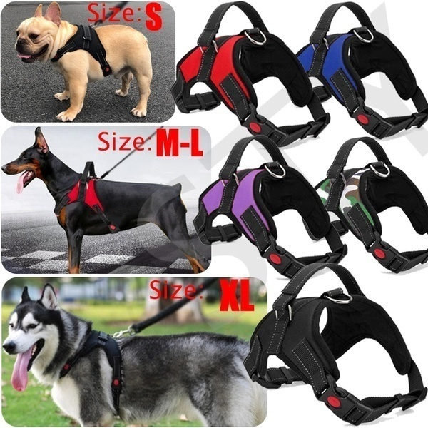 Wish 2024 dog harness