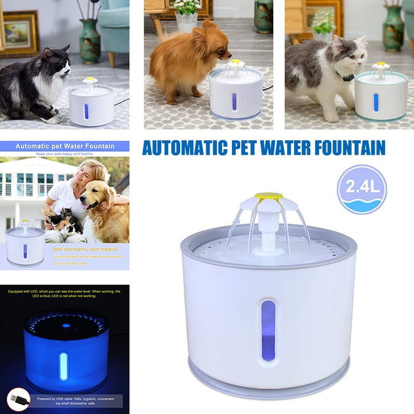 little flower pet fountain