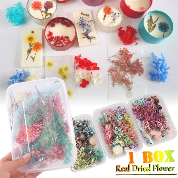 1Box Real Dried Flowers For DIY Art Craft Epoxy Resin Pendant Jewellery Making 