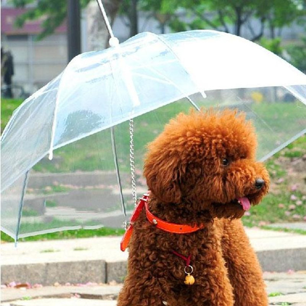 dog lead with umbrella