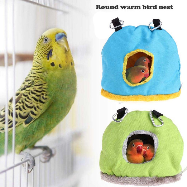 budgie bed