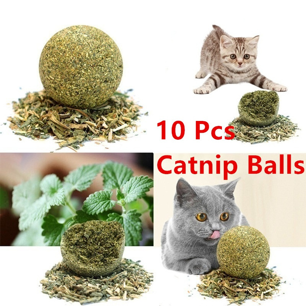 catnip ball toy