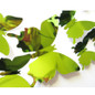thumbnail - 6