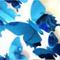 thumbnail - 7