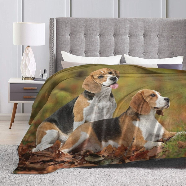 Beagle discount throw blanket