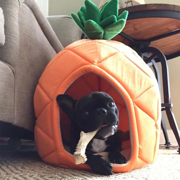 large pineapple dog bed