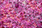 thumbnail - 0
