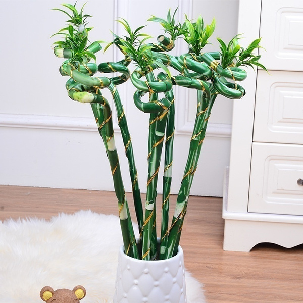 Green High Simulation of Lucky Bamboo Auspicious Bamboo Decorate The