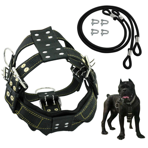 pitbull weight pulling harness