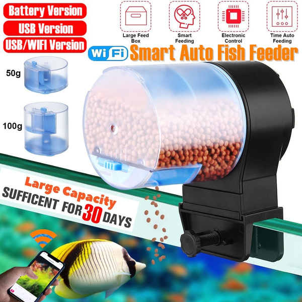 Large automatic fish outlet feeder