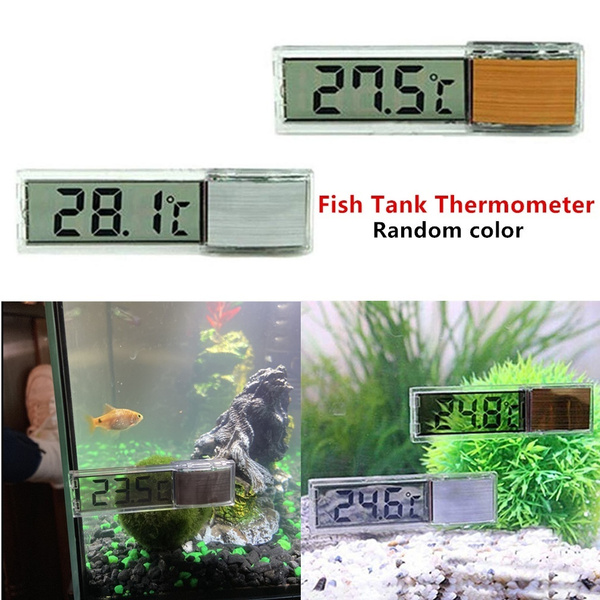 fish tank monitor