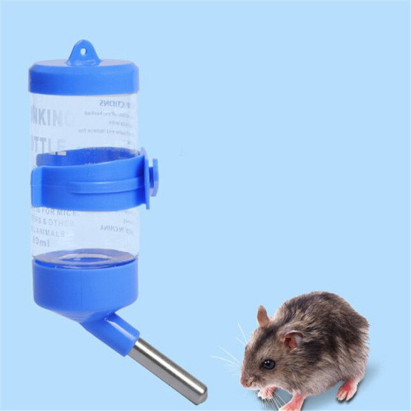 guinea pig water dispenser