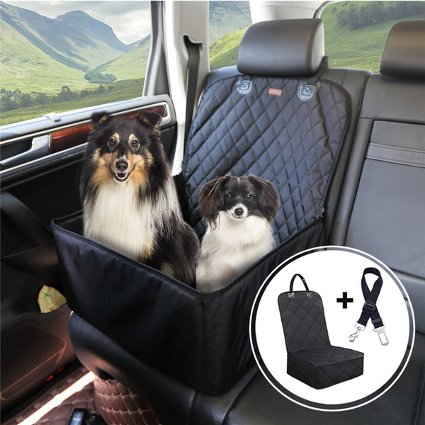 Dog seat clearance belt front seat