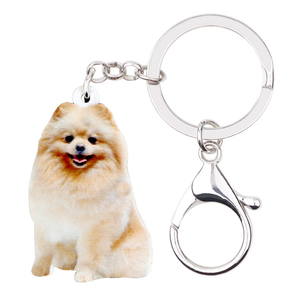 pomeranian accessories