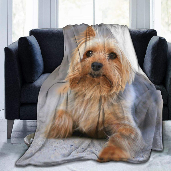 Yorkie throw blanket new arrivals