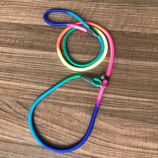 rainbow slip lead