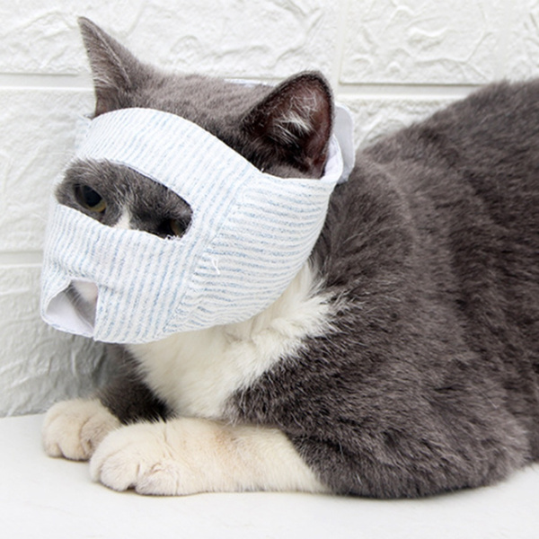 cat muzzle wish