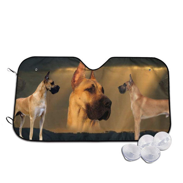 rays protection dogs