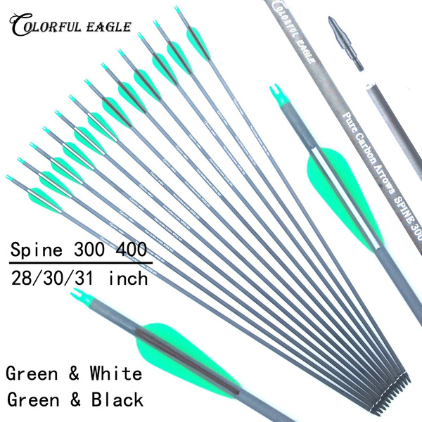 6 PCS Archery Spine 300 Pure Carbon Arrows for Compound Recurve Bow Hunting 