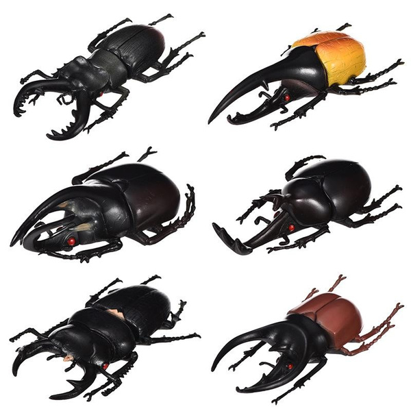 beetle toys