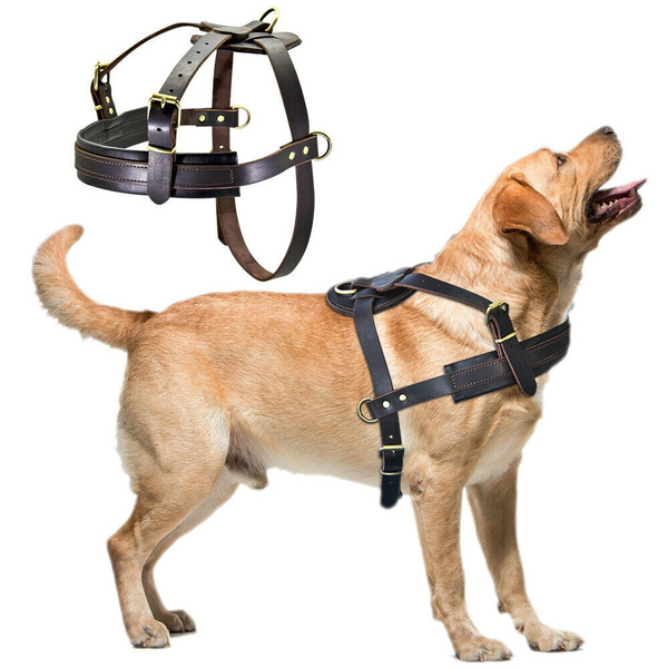 brown dog weight pull harness