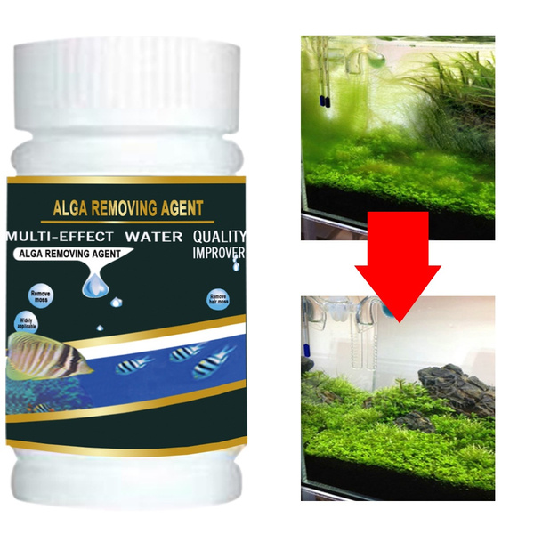 algae remover aquarium